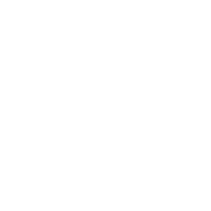 Maltechniken Maler Bergheim